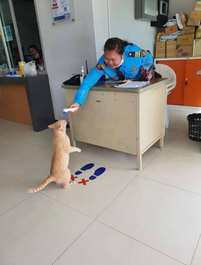 Acid Picdump. Part 1 (93 pics)