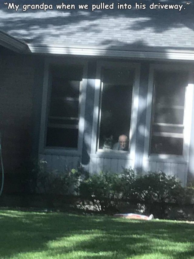 Acid Picdump. Part 1 (93 pics)
