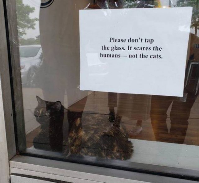 Acid Picdump. Part 2 (91 pics)