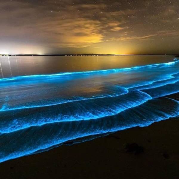 Acid Picdump. Part 1 (93 pics)