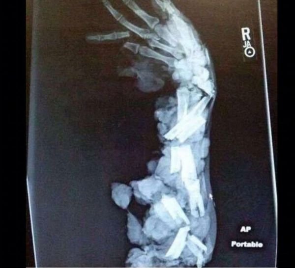 Bad Days Happen (29 pics) Bad Days Happen (29 pics)