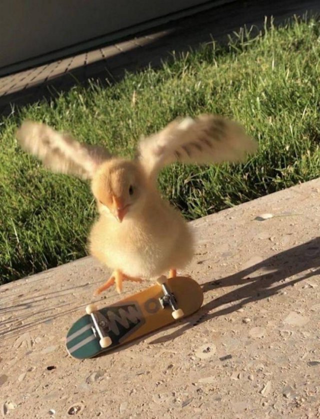 Acid Picdump. Part 1 (91 pics)