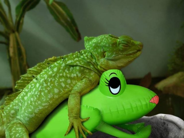 Acid Picdump. Part 1 (91 pics)