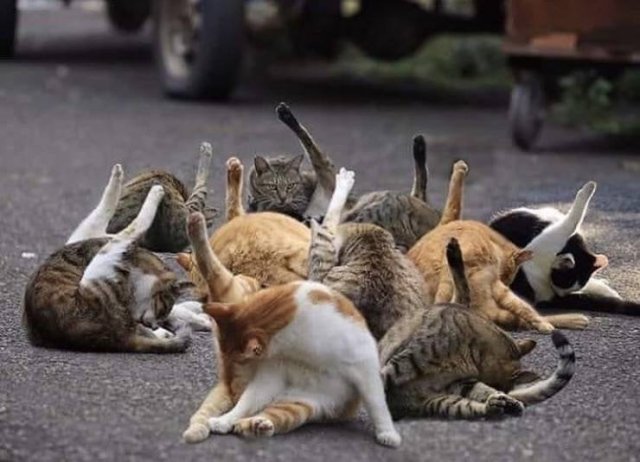 Acid Picdump. Part 1 (91 pics)