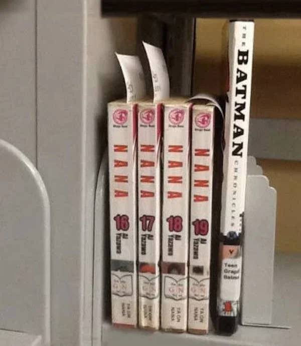 Jokes Of Librarians (35 pics)