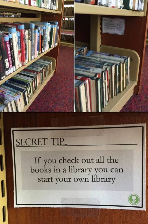 Jokes Of Librarians (35 pics)