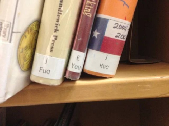 Jokes Of Librarians (35 pics)