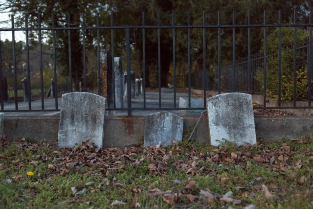 Abandoned Confederate Colonel's House (26 pics) Abandoned Confederate Colonel's House (26 pics)