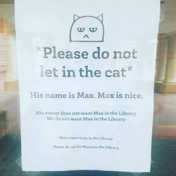 Jokes Of Librarians (35 pics)