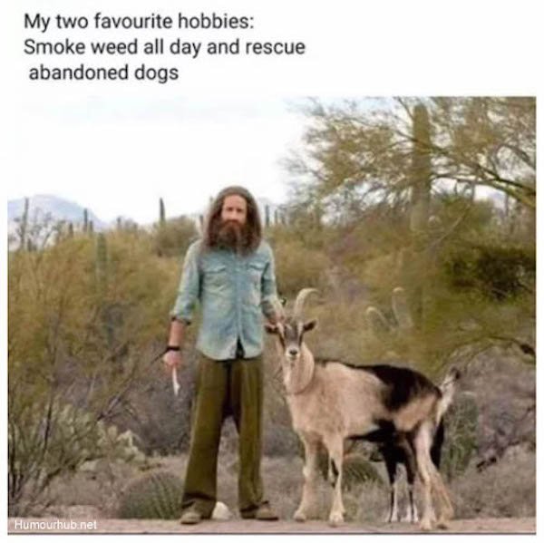 When You Got High (37 pics)