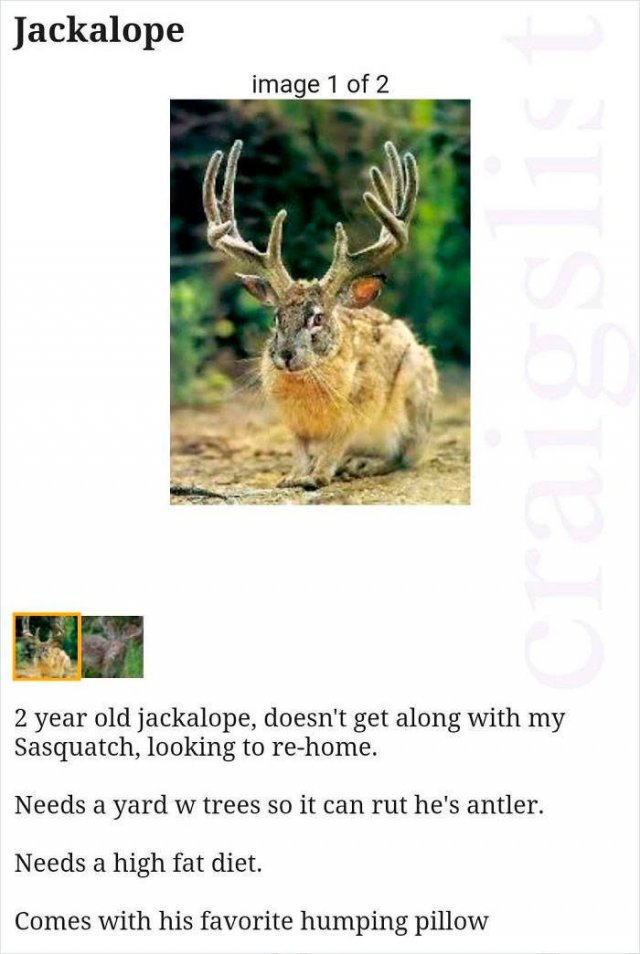 Weird Ads (30 pics)