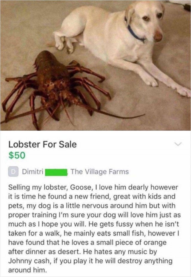 Weird Ads (30 pics)