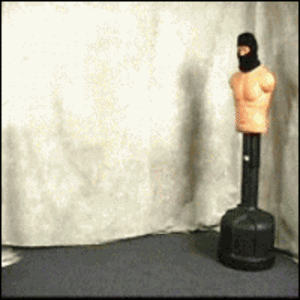 Fails (19 gifs)