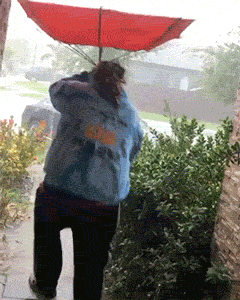 Fails (19 gifs)