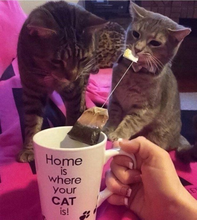 Acid Picdump. Part 1 (93 pics)