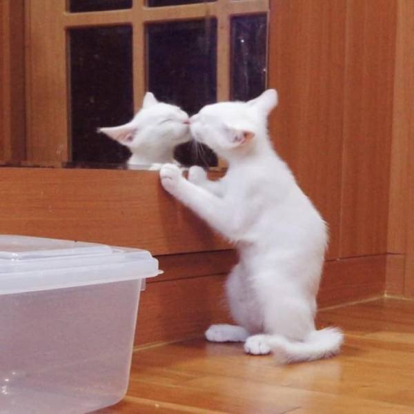 Acid Picdump. Part 1 (93 pics)