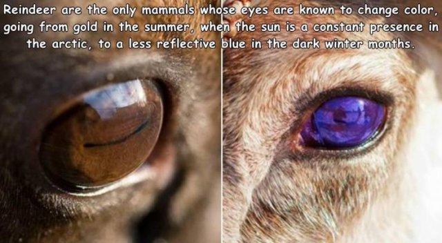 Acid Picdump. Part 1 (93 pics)