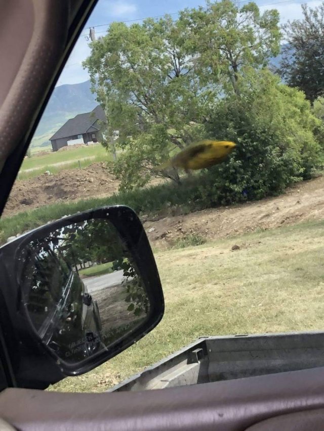 Acid Picdump. Part 1 (93 pics)