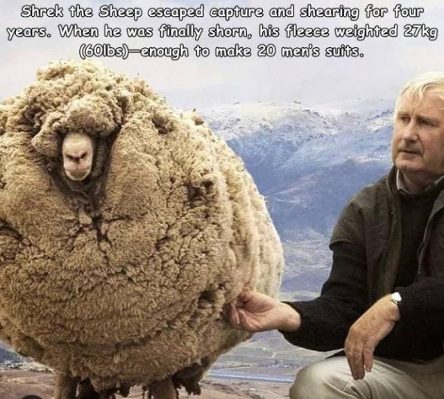 Acid Picdump. Part 1 (93 pics)