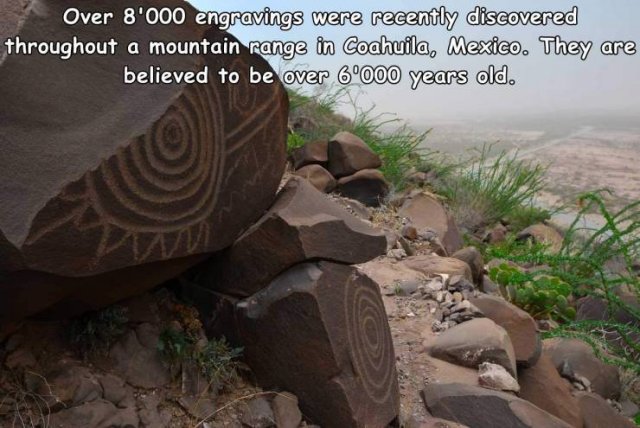 Acid Picdump. Part 1 (93 pics)