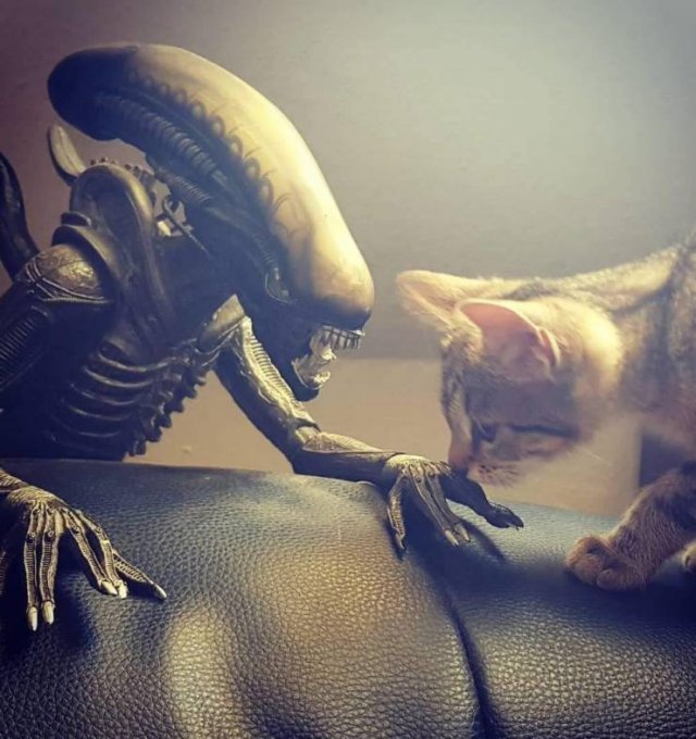 Acid Picdump. Part 1 (93 pics)