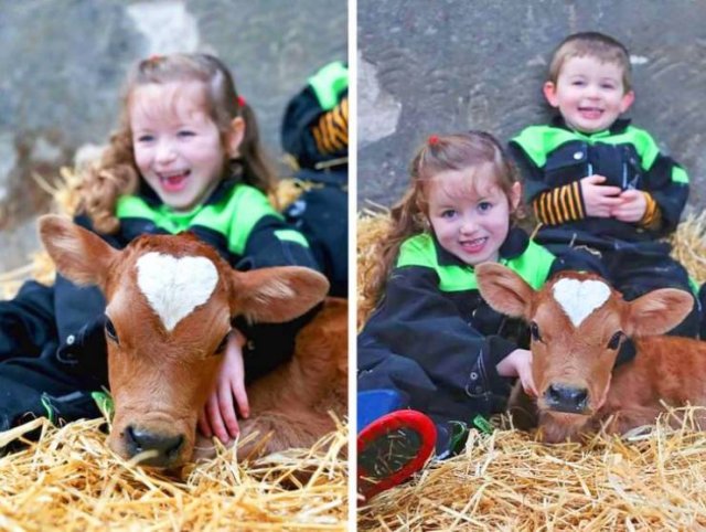Amazing Pictures (17 pics) Amazing Pictures (17 pics)