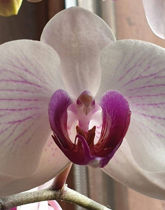 Amazing Pictures (17 pics) Amazing Pictures (17 pics)