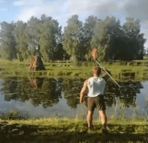 Unexpected GIFs (27 gifs)