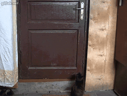 Acid Gifdump, June 18 (25 gifs)