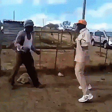 Acid Gifdump, June 18 (25 gifs)