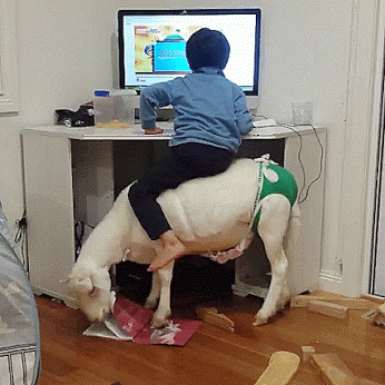Acid Gifdump, June 18 (25 gifs)
