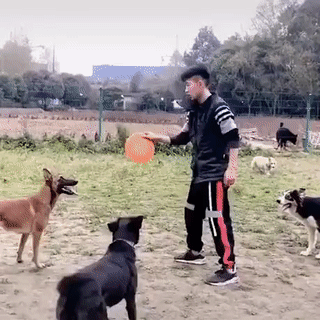 Acid Gifdump, June 18 (25 gifs)