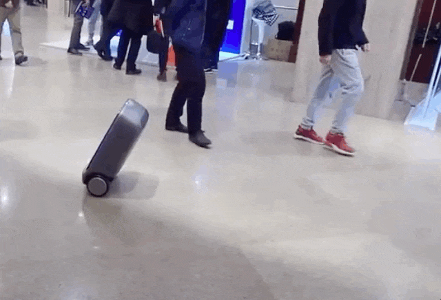 Acid Gifdump, June 19 (25 gifs)