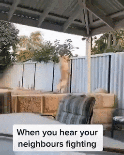 Acid Gifdump, June 19 (25 gifs)