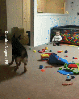 Acid Gifdump, June 19 (25 gifs)
