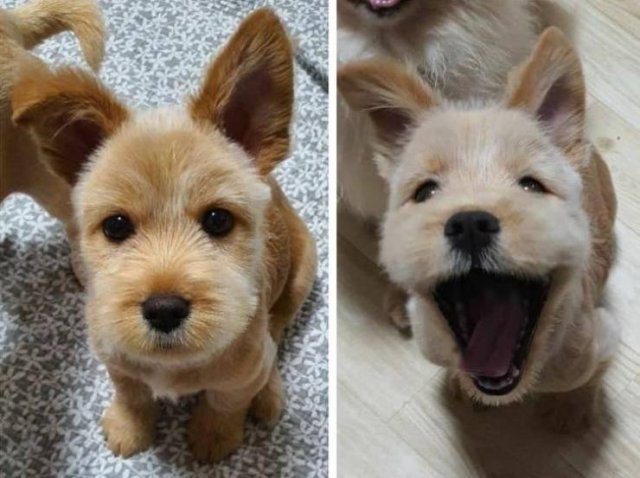 Wholesome Stories (39 pics) Wholesome Stories (39 pics)