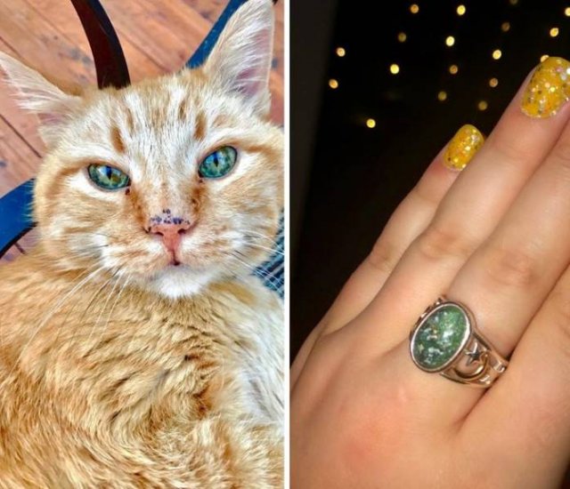 Wholesome Stories (39 pics) Wholesome Stories (39 pics)