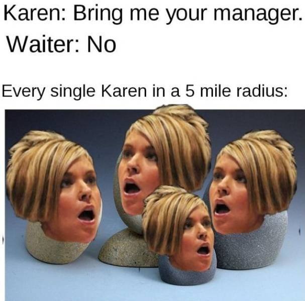 Karen Memes (33 pics)