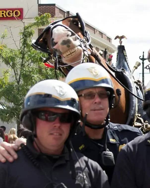 This Is Photobombing (25 pics)