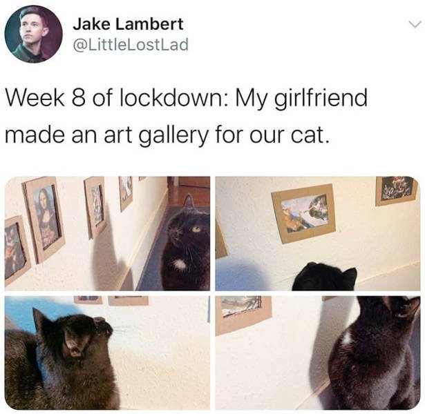 Wholesome Stories (39 pics)