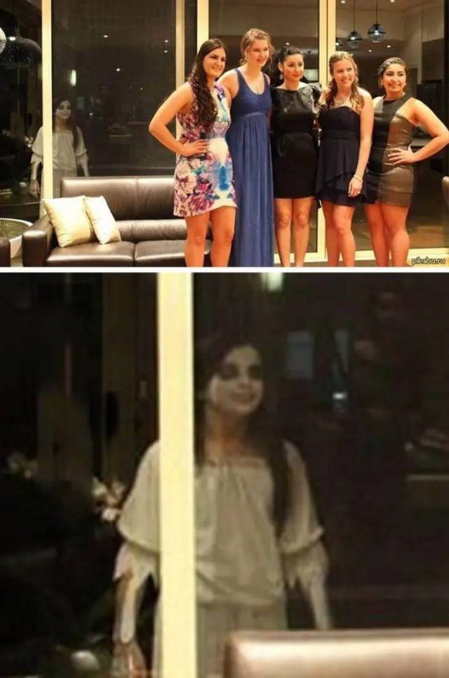 This Is Photobombing (25 pics)