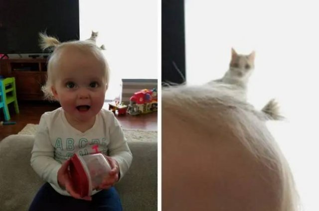 This Is Photobombing (25 pics)