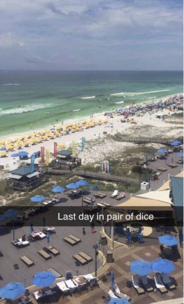 Spelling Gone Wrong (18 pics) Spelling Gone Wrong (18 pics)