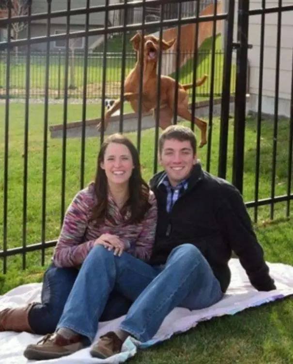 This Is Photobombing (25 pics)
