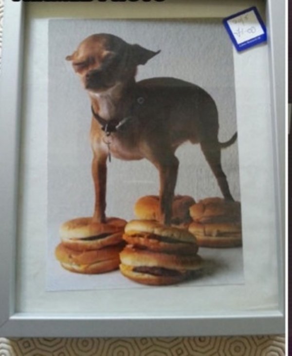 Thrift Shop Treasures (35 pics)