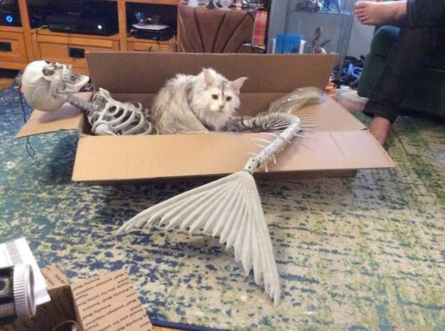 Acid Picdump. Part 2 (95 pics)