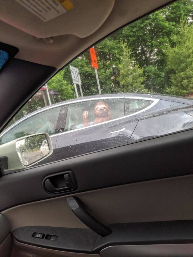 Acid Picdump. Part 2 (92 pics)