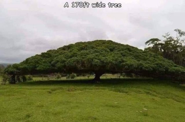 Acid Picdump. Part 2 (95 pics)