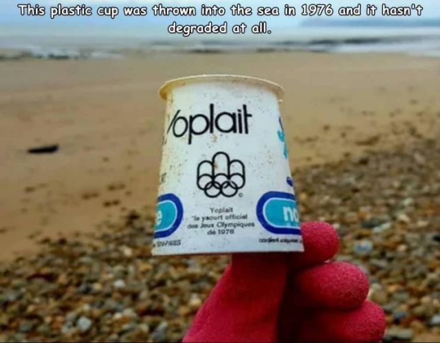 Acid Picdump. Part 2 (95 pics)