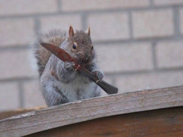 Acid Picdump. Part 2 (95 pics)